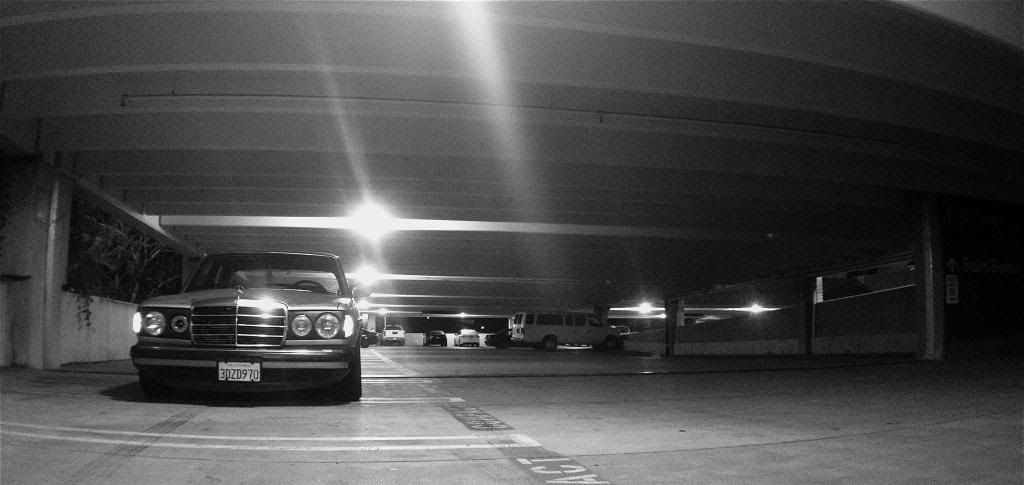 photo IMG_1204_zps0f9a5952.jpg
