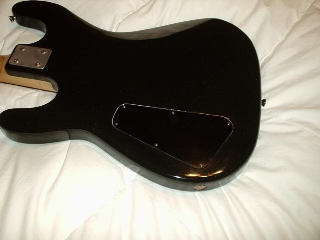 HB-1Bass009_zpsdfb19755.jpg