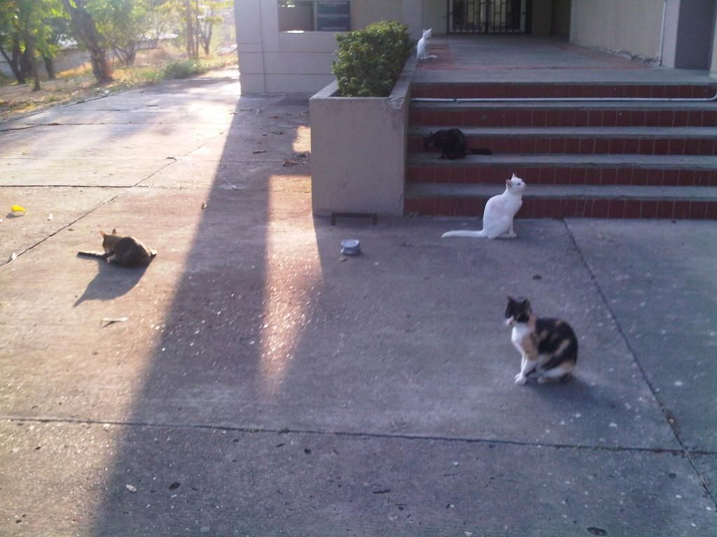  photo IMG-20140826-00043_zps5d16420c.jpg