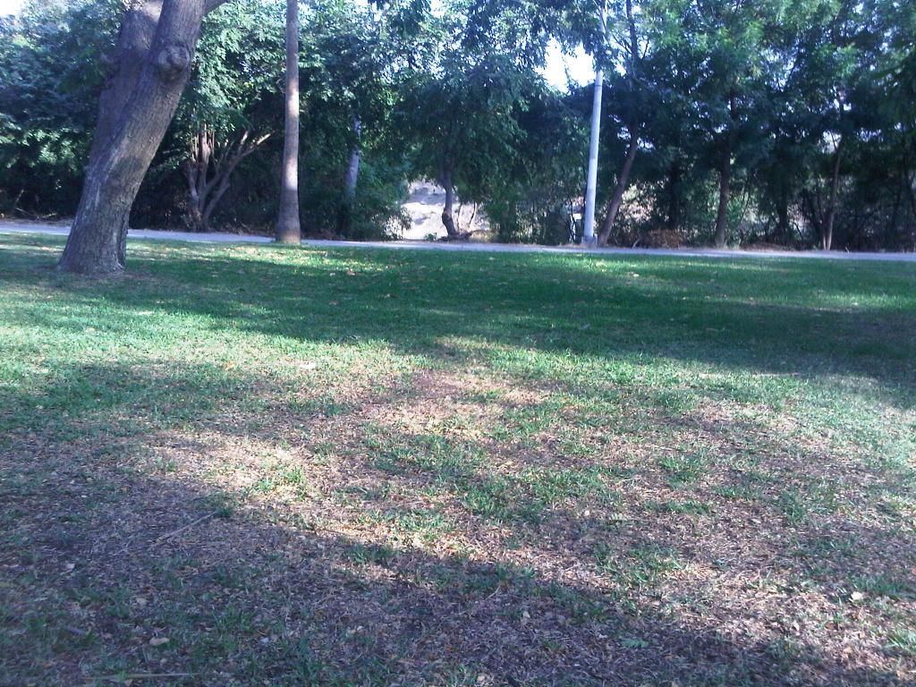  photo IMG-20140826-00046_zpsce69412a.jpg