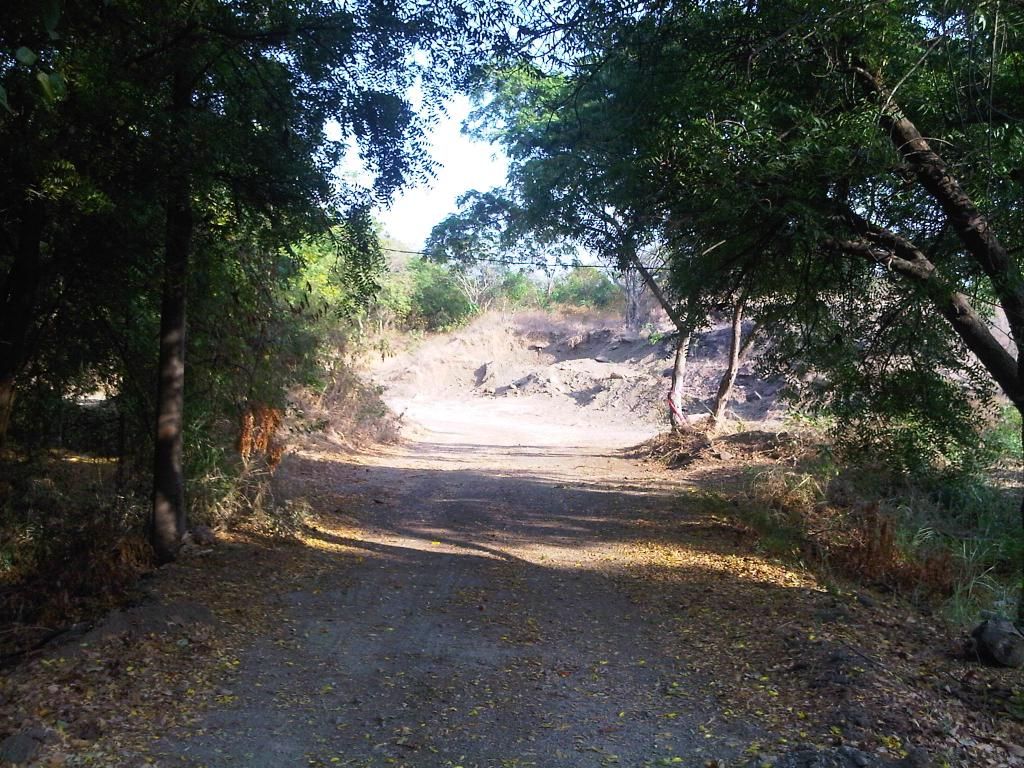  photo IMG-20140826-00047_zpsf801ef3d.jpg