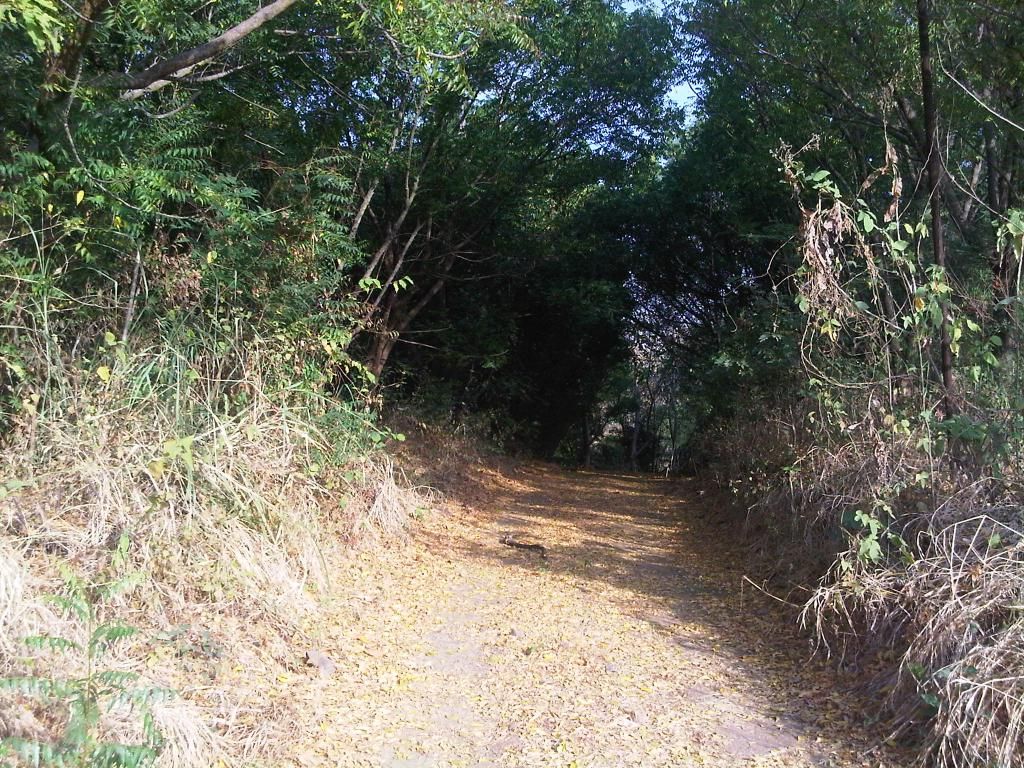  photo IMG-20140826-00049_zps4a1770ca.jpg