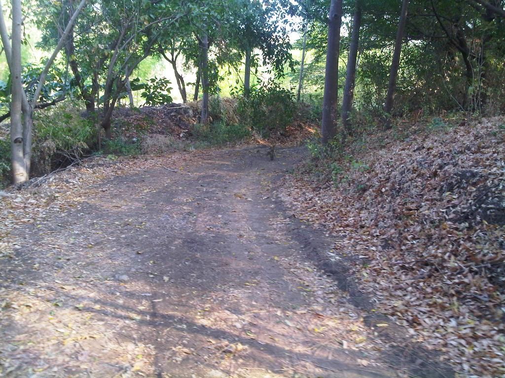  photo IMG-20140826-00050_zps3c27bb9f.jpg