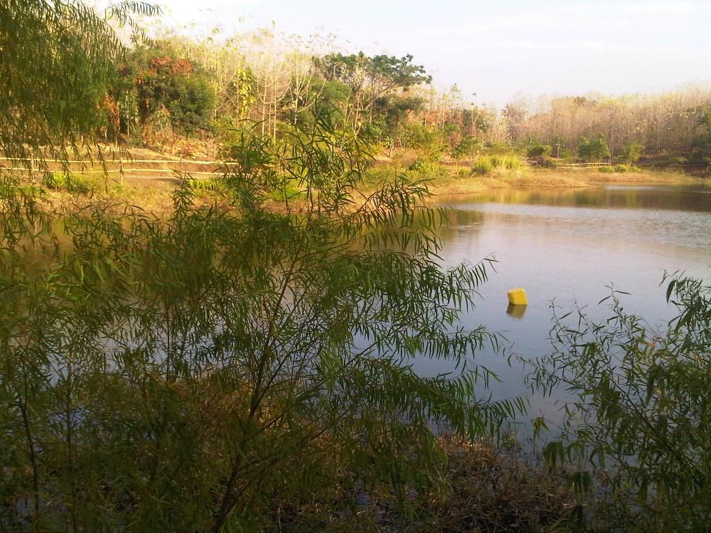  photo IMG-20140826-00051_zps6a2718c3.jpg