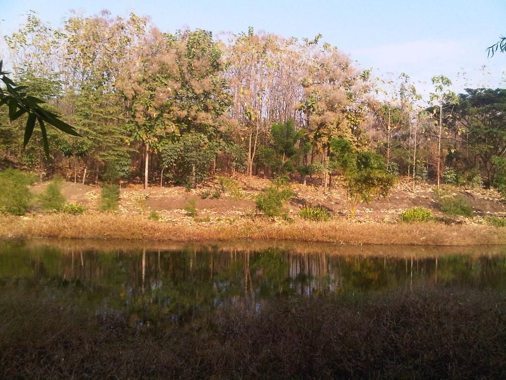  photo IMG-20140826-00052_zpsd2067f5c.jpg