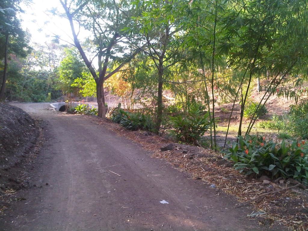  photo IMG-20140826-00053_zps6c5c95d5.jpg