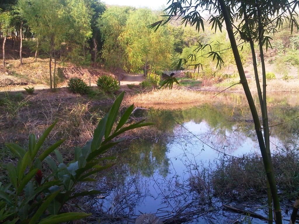  photo IMG-20140826-00055_zps5286f819.jpg