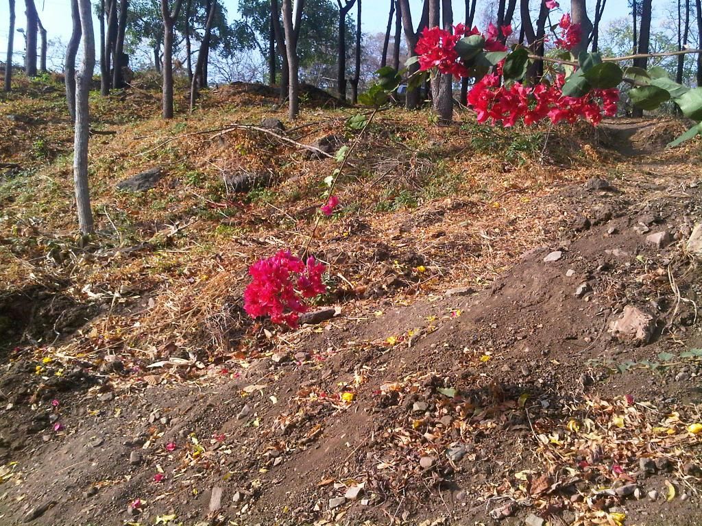  photo IMG-20140826-00059_zpse8b034e9.jpg