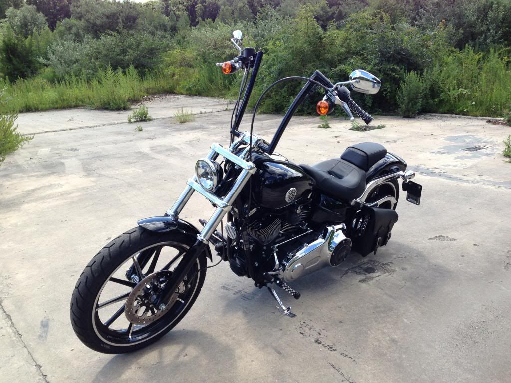 harley davidson breakout with apes