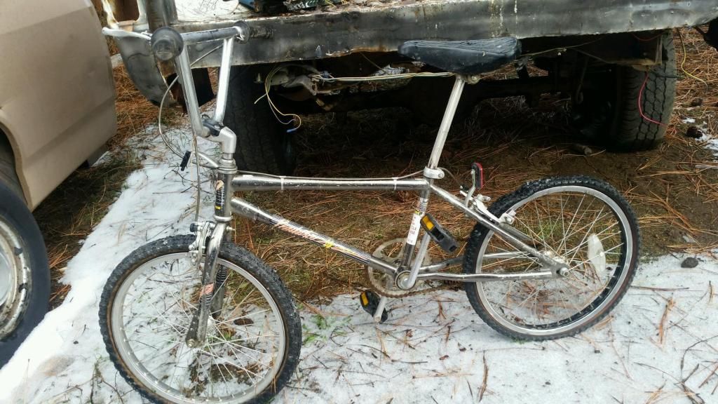 schwinn predator value