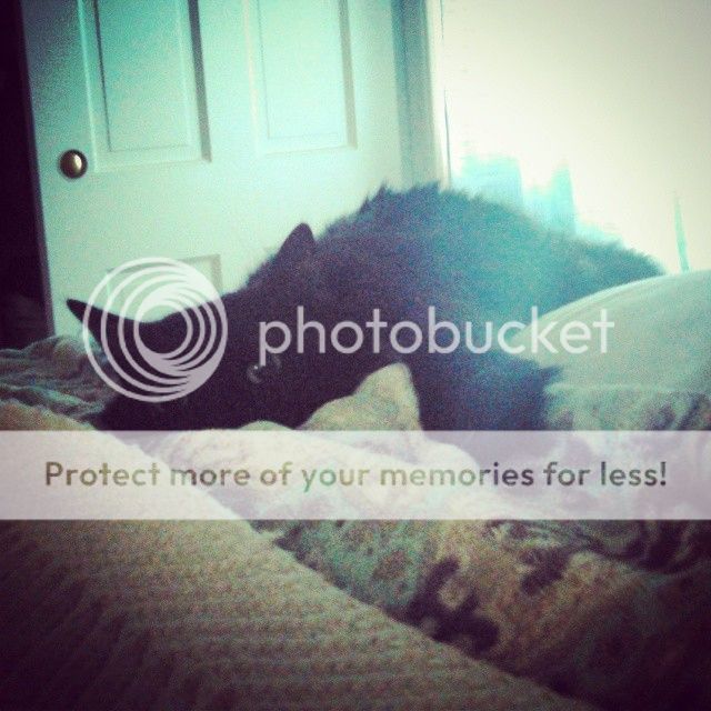 photo 10453377_10154290977740076_8727501196050513228_n_zps8ebd9ec3.jpg