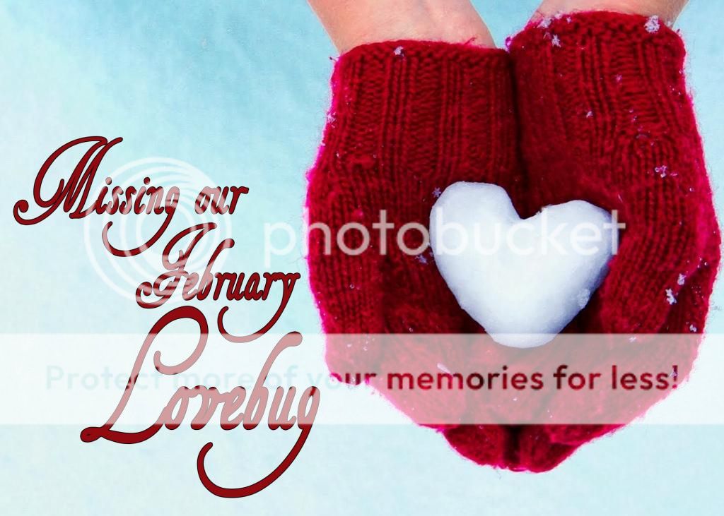 photo February1_zpscd97a1c2.jpg