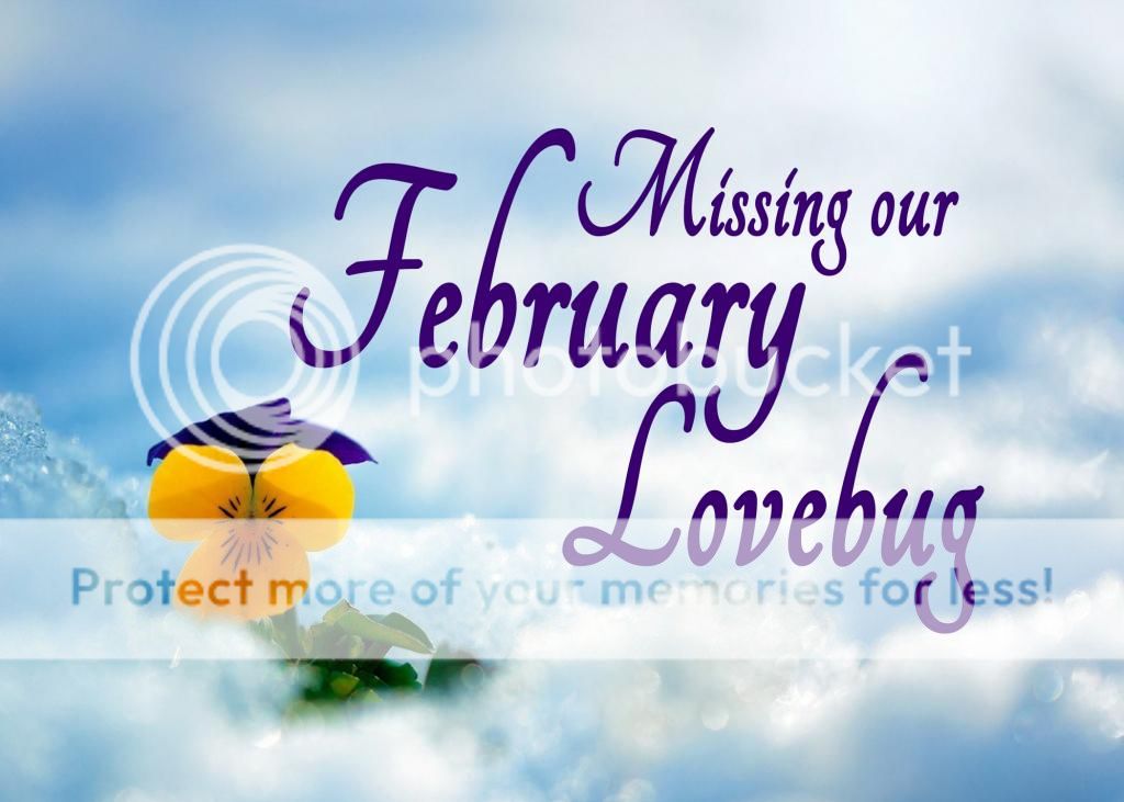 photo February2_zps2c335ab6.jpg