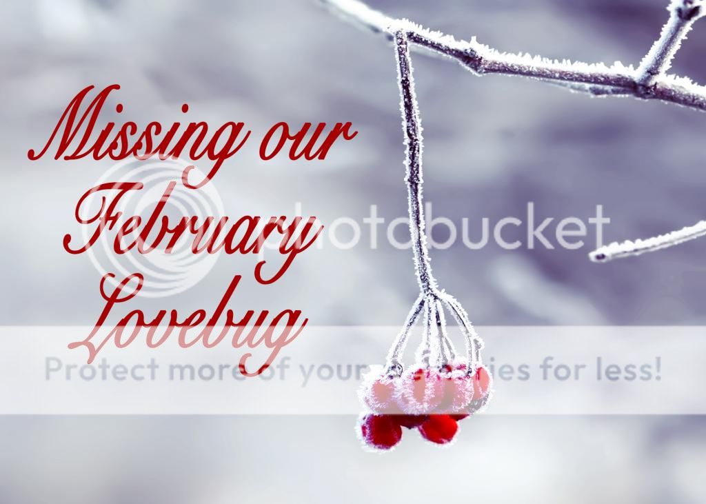 photo February3_zpsb46902ad.jpg