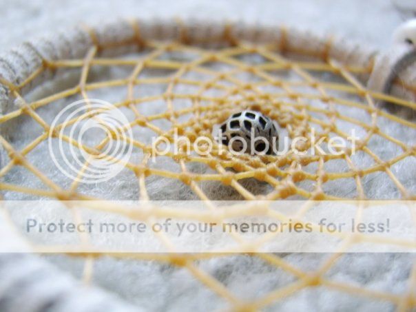 photo 2176_128832160075_5043_n_zpsf6adc5e4.jpg