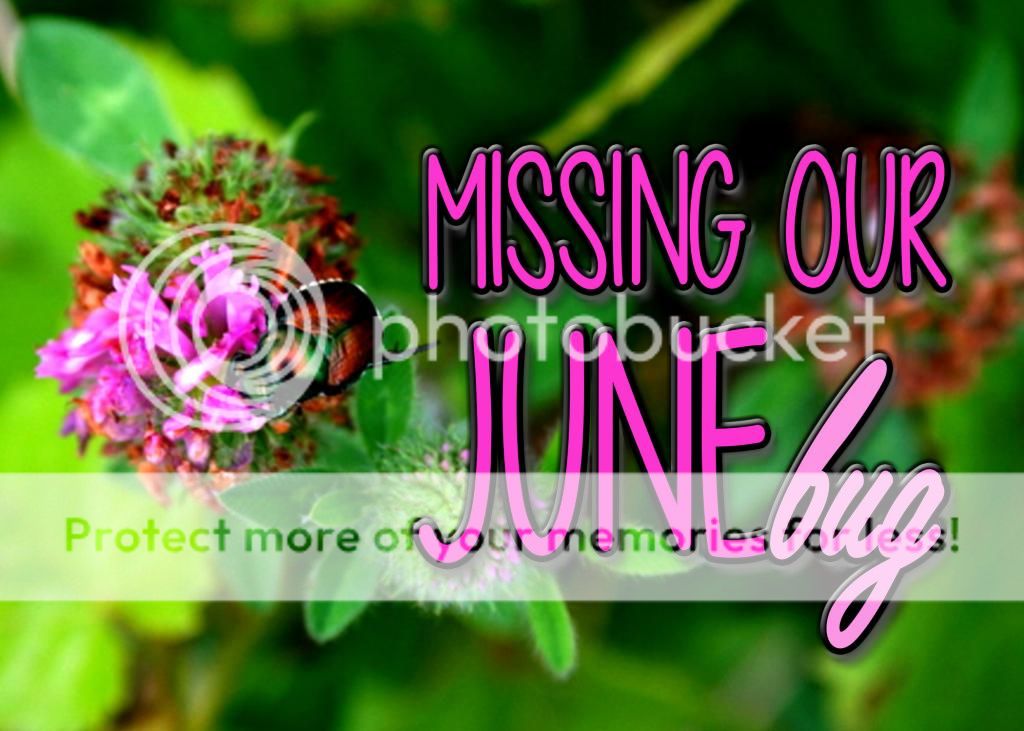 photo June1_zpsf3a3237c.jpg