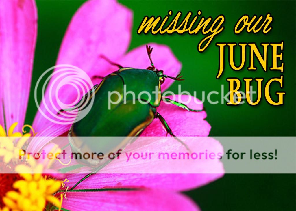 photo June2_zpsfd836f6f.jpg