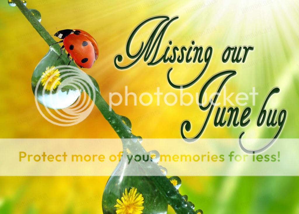 photo June3_zpsad01a892.jpg