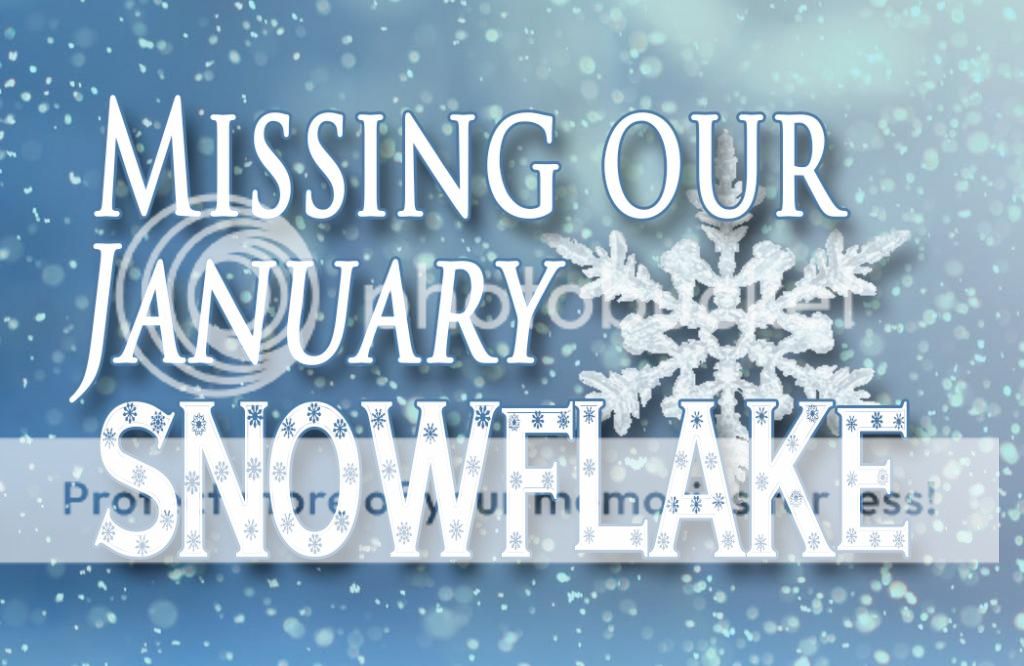 photo January1_zps03b37828.jpg