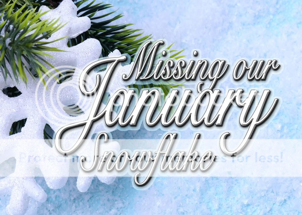 photo January5_zpsc6c08c2c.jpg