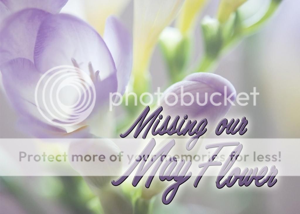 photo May2_zpsa1e6fe60.jpg