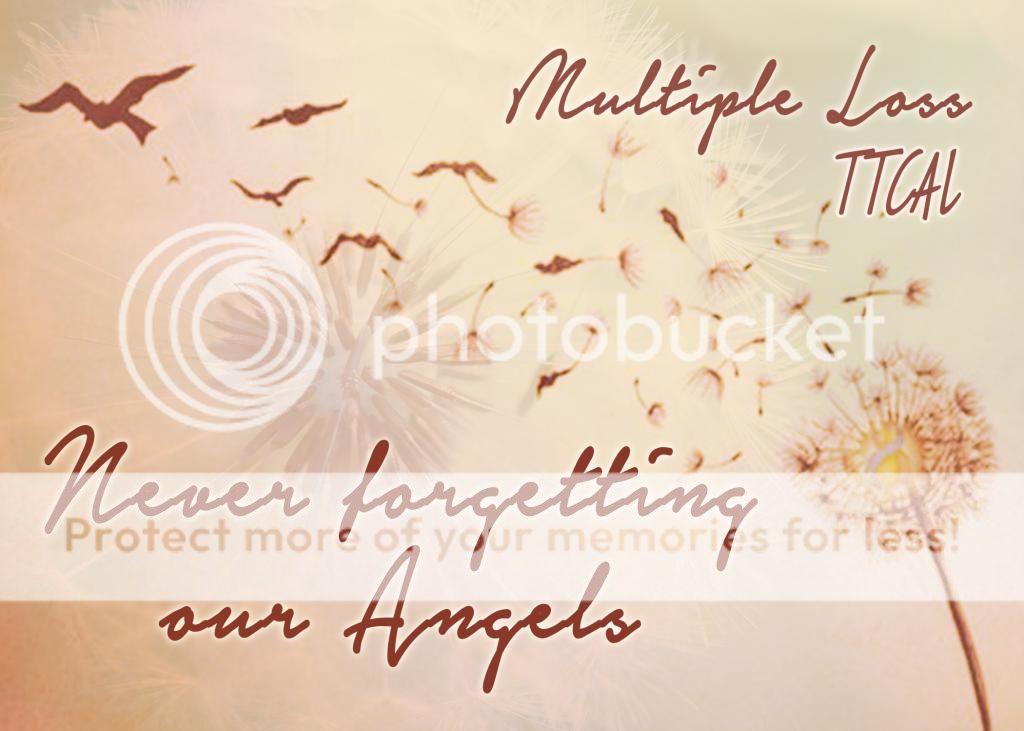 photo MultipleTTCAL1_zpsdbe0b84b.jpg