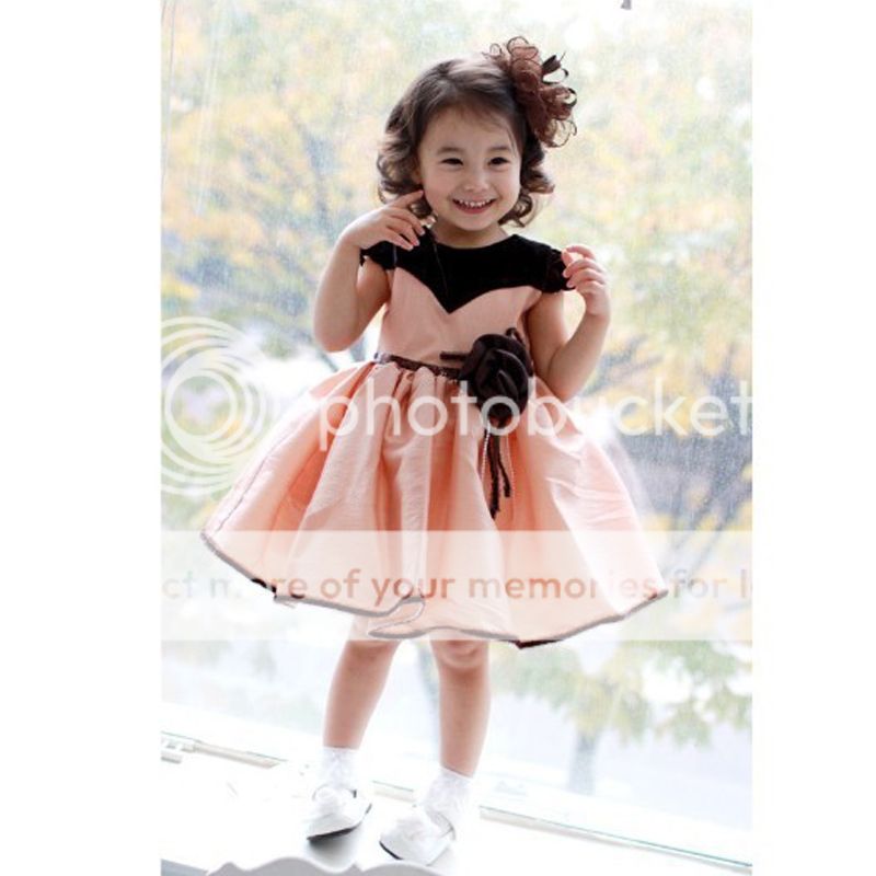 Toddler Kids Girls Clothes Lovely Princess Party Flower Dresses Size 1 2Y