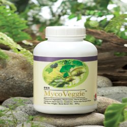 MYCO VEGGIE DXN GANODERMA photo 28_gr_big_zpsixcmbrhi.png