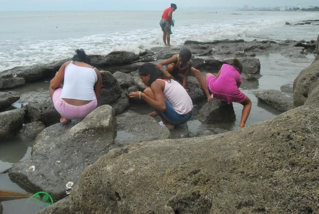 playa de sua beach