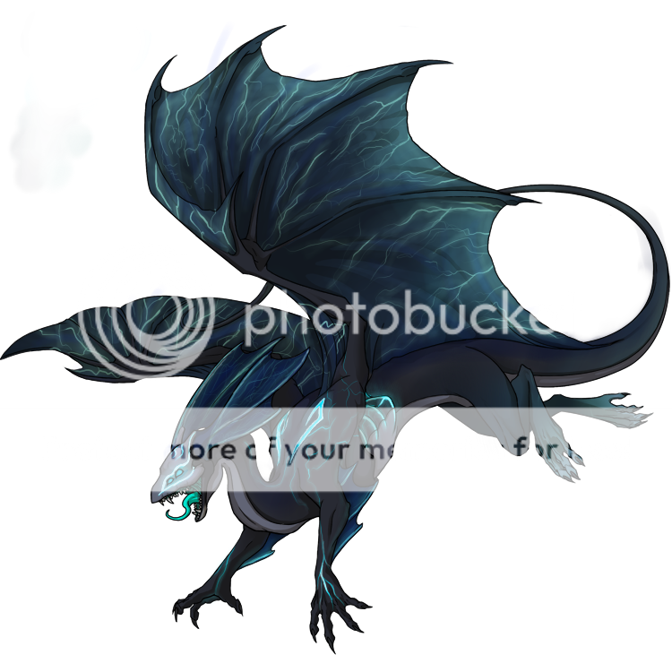 mirrorFdragoncontestfinnocorssmallerbettershaded_zps8655bd77.png